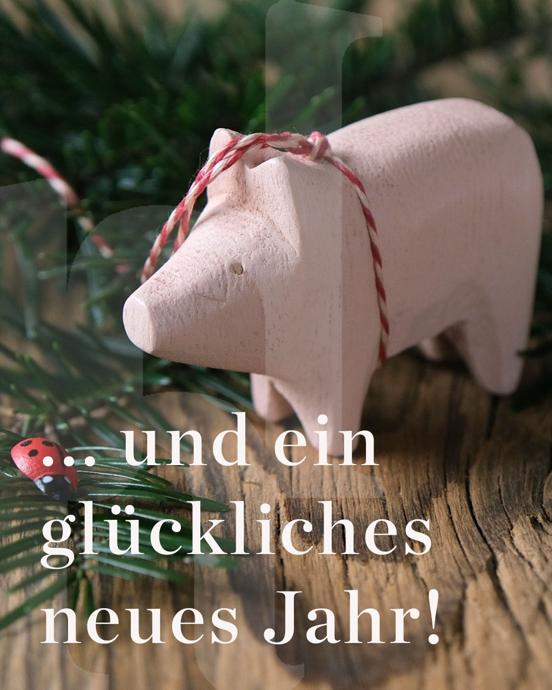 INS DHIP Neujahrsgruss