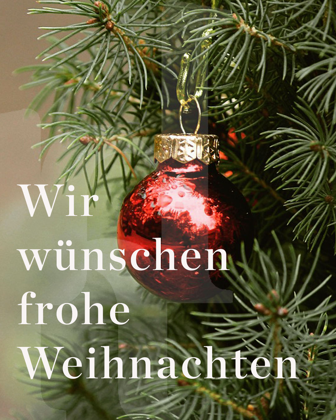 INS DHIP Weihnachtsgruß