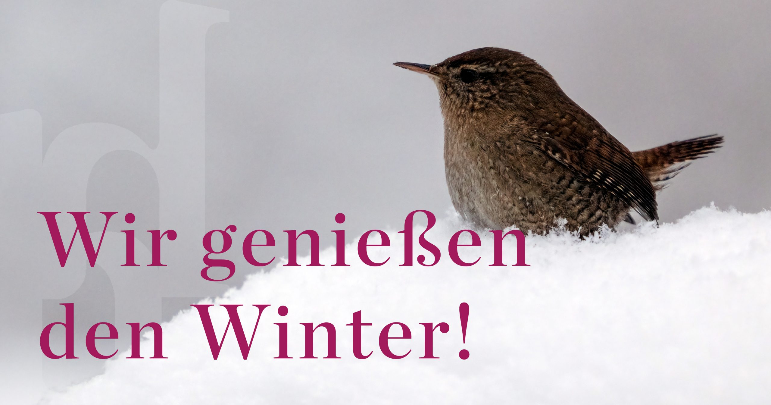 FB DHIP Wintergruß26